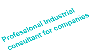 Professional Industrial  consultant for companies